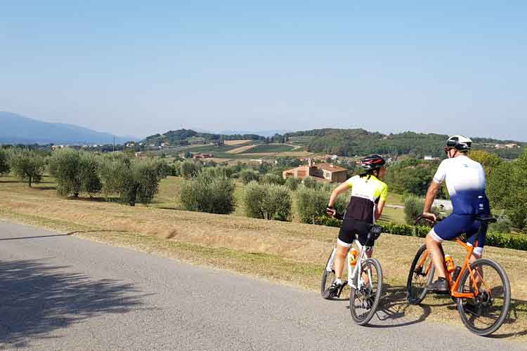 AD OGNUNO IL SUO ITINERARIO